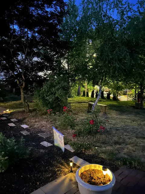 Back yard fire pit at dusk
